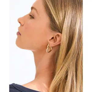 Pilgrim Sora Heart Earrings