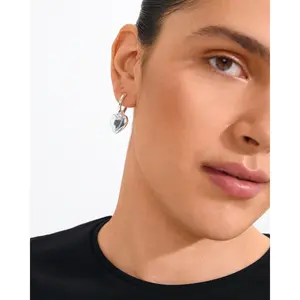 Pilgrim Arien Heart Earrings