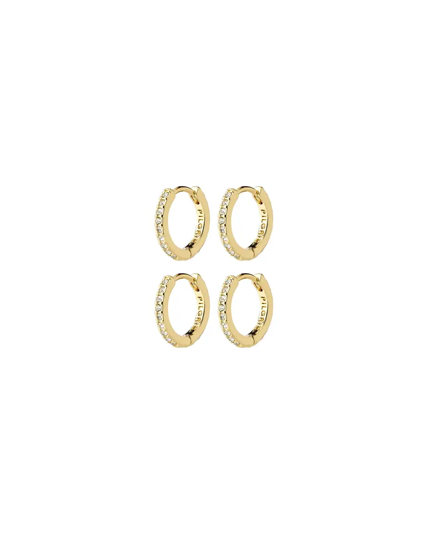 Pilgrim Root 2-1 Earring Set