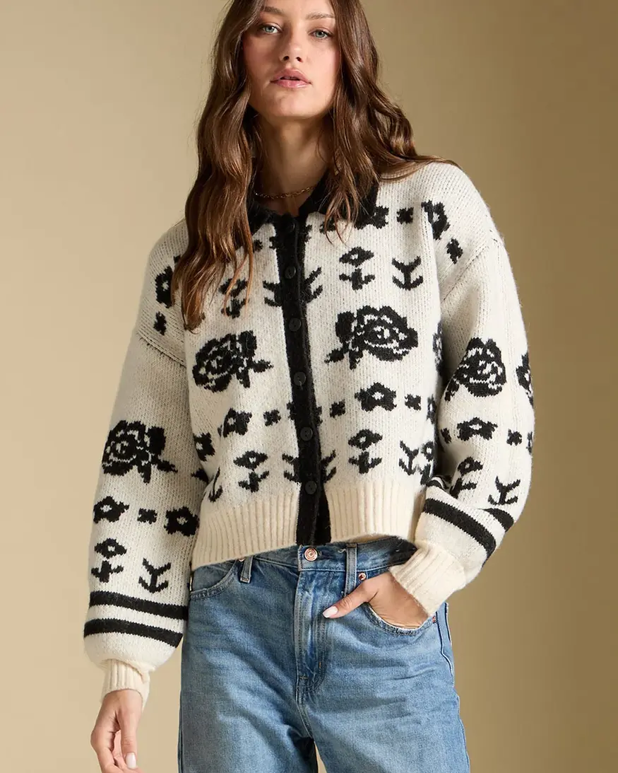 Saltwater Luxe Alamere Sweater