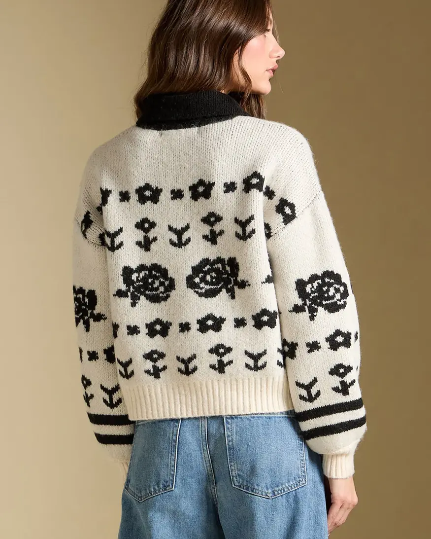 Saltwater Luxe Alamere Sweater