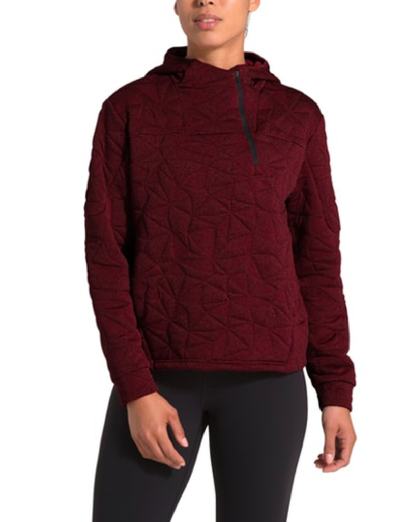 THE NORTH FACE The North Face Women's Get Out There Pullover