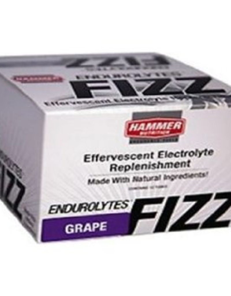Hammer Nutrition HAMMER ENDUROLYTE FIZZ