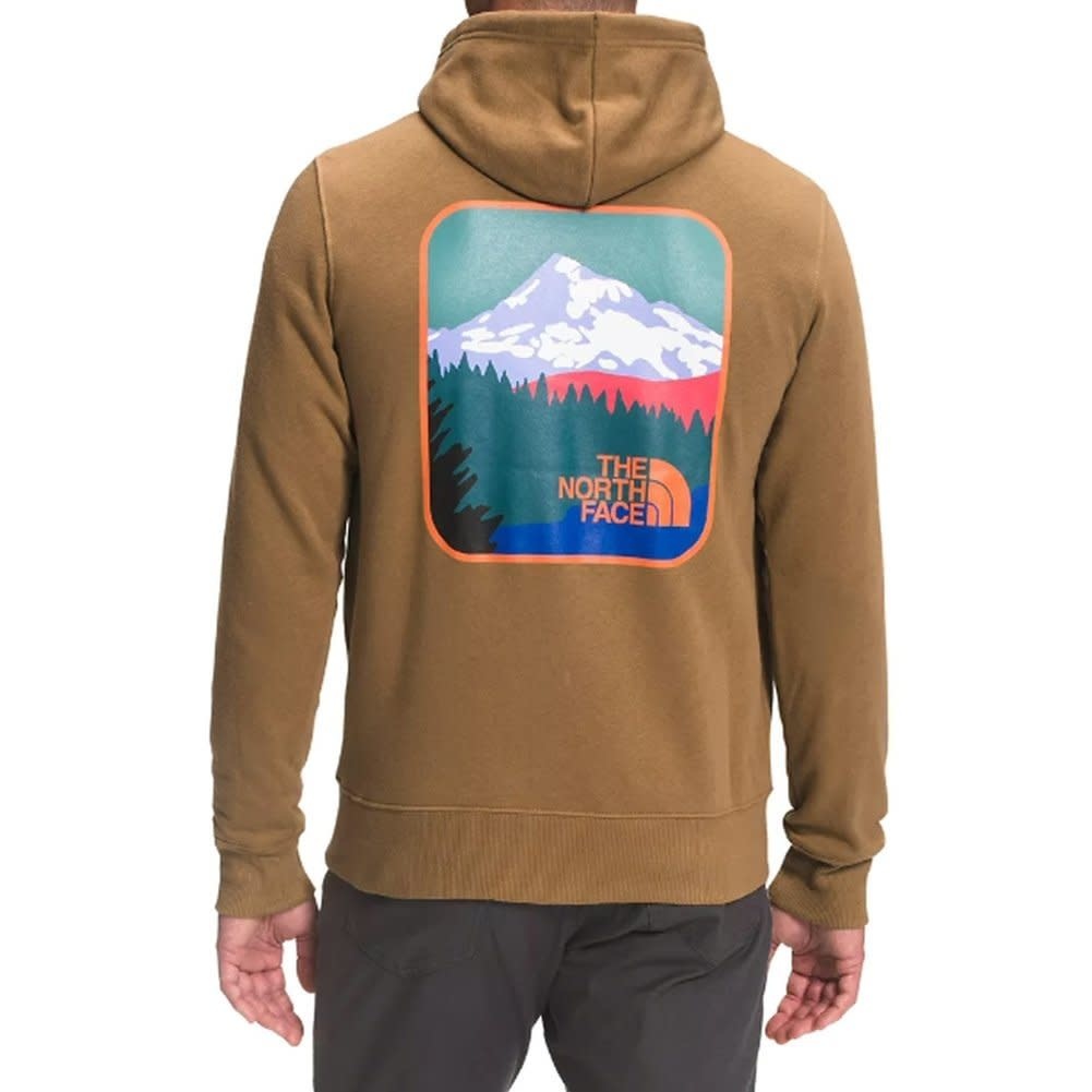 THE NORTH FACE The North Face Men's Parks Pull Over Hoodie