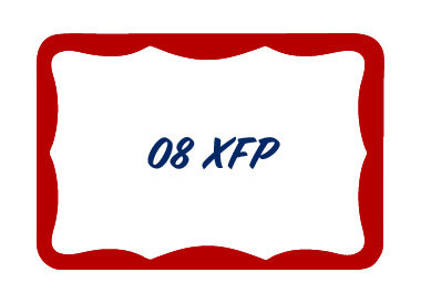 08 XFP