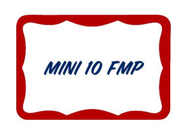 Mini 10 FMP