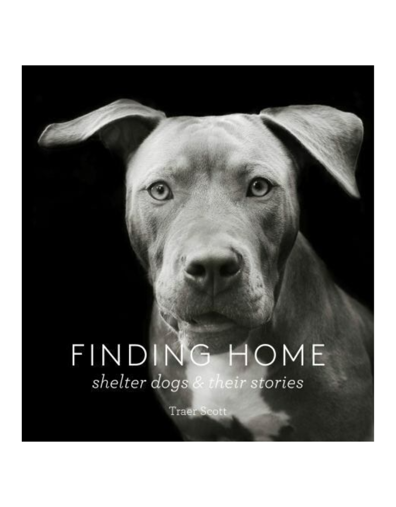 Finding Home: Shelter Dogs and Their Stories