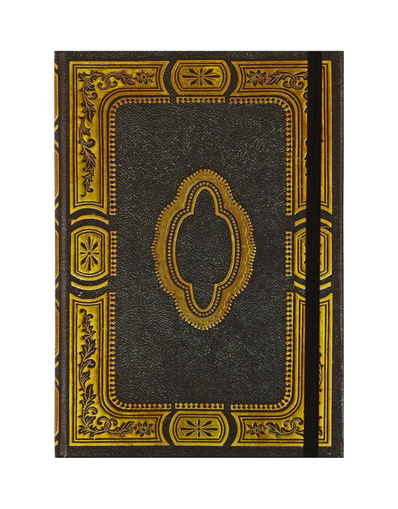 https://cdn.shoplightspeed.com/shops/608965/files/51277849/peter-pauper-press-journal-gilded-onyx.jpg