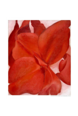 Amon Carter Poster Prints Red Cannas