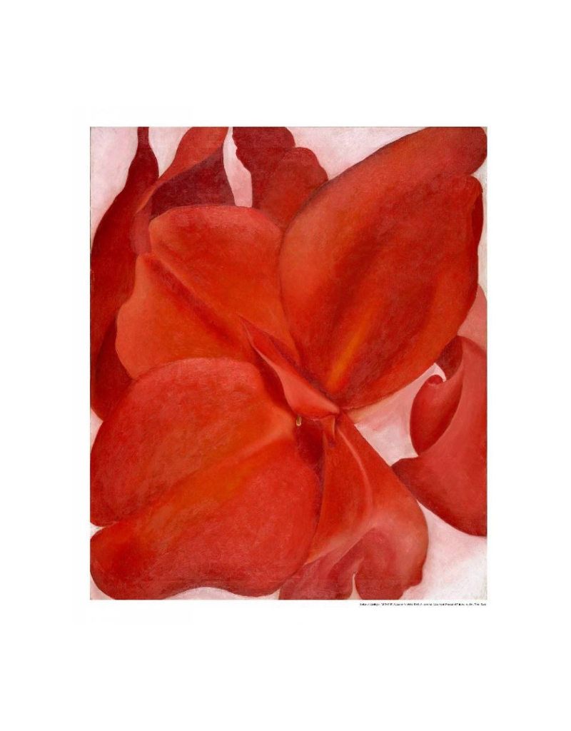 Amon Carter Poster Prints Red Cannas