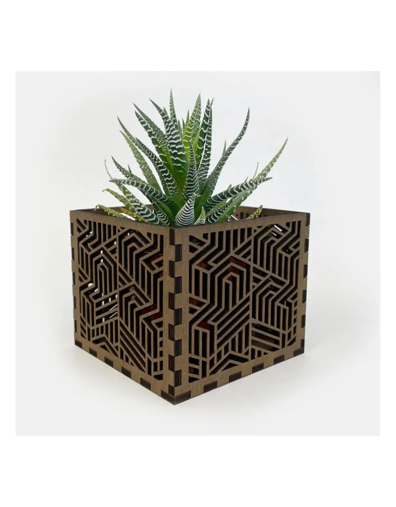 Baily Builds Wooden Botanical Planter