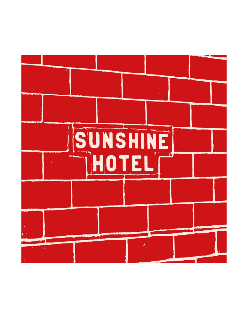 Artbook SALE Mitch Epstein: Sunshine Hotel