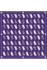 KEVA + Created By TCU Horned Frog Scarf