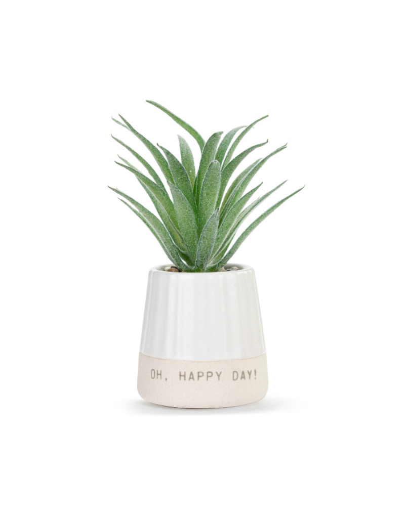 Demdaco SALE Happy Day Succulent