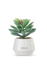 Demdaco Smile Succulent