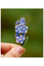 The Gray Muse Forget-Me-Not Enamel Pin