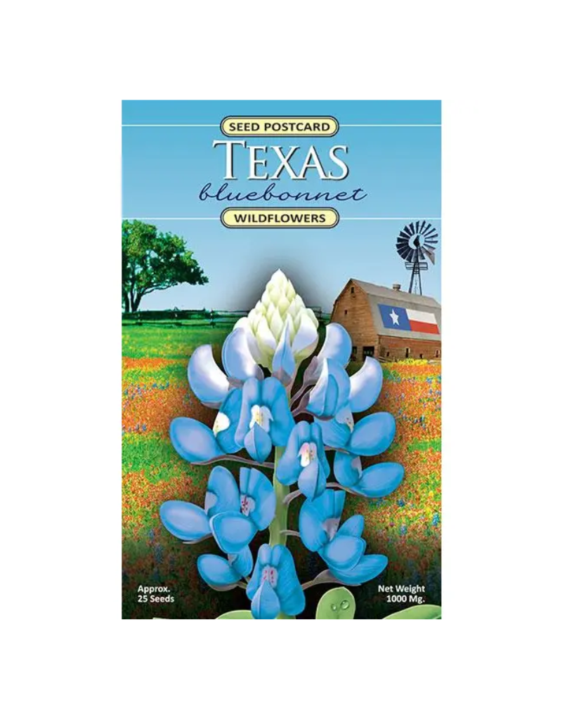 Created by Nature Texas Bluebonnet Seed Postcard