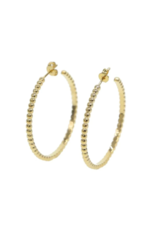 Accessory Concierge Grande Global Hoops