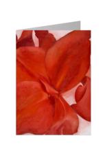 Red Cannas Notecard