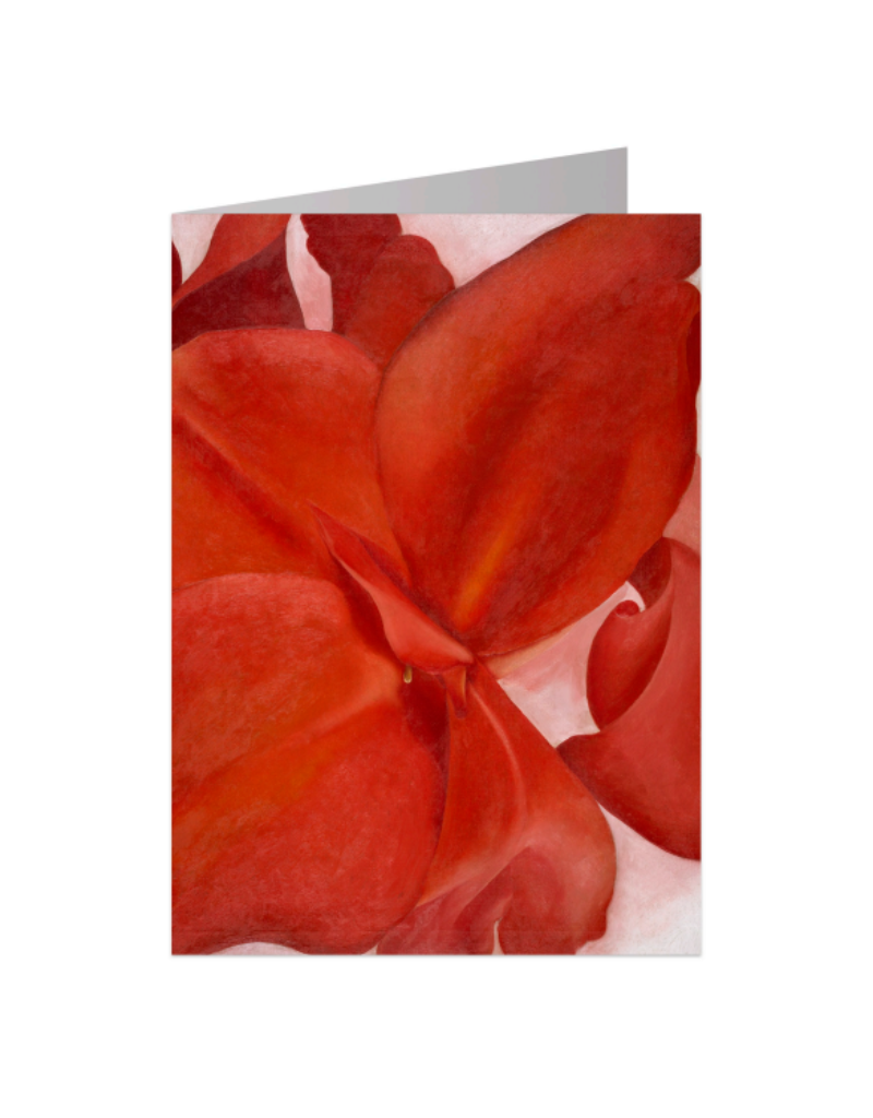 Red Cannas Notecard