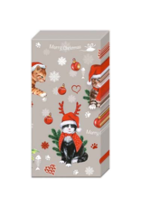 Boston International SALE Cats Celebration Pocket Tissues