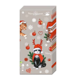 Boston International SALE Cats Celebration Pocket Tissues