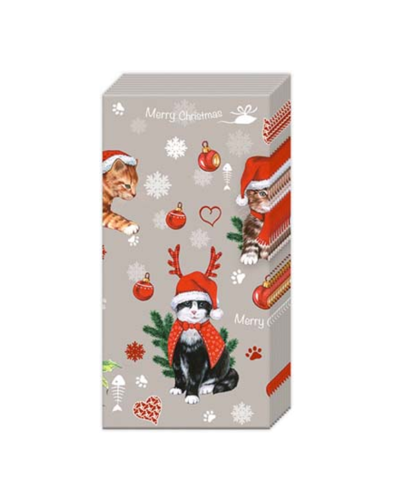 Boston International SALE Cats Celebration Pocket Tissues