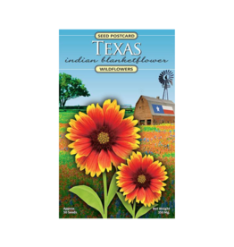 Created by Nature Texas Indian Blanketflower Seed Postcard