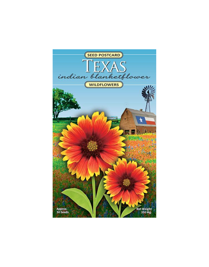 Created by Nature Texas Indian Blanketflower Seed Postcard