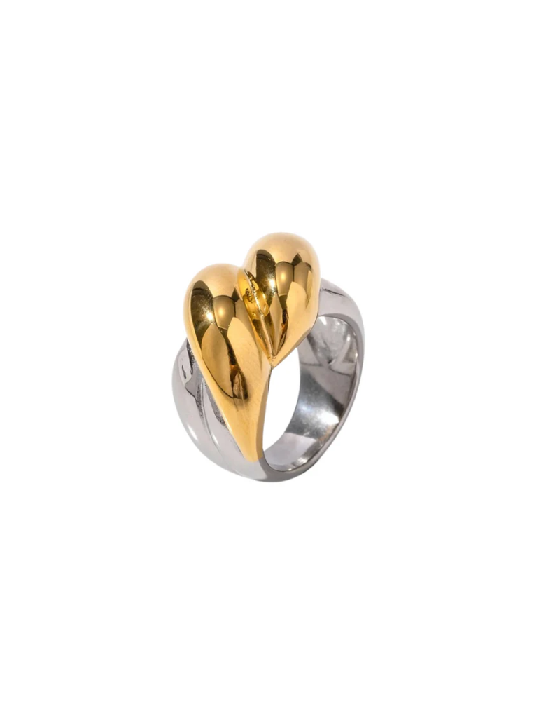 HJaneJewels Two Toned Twist Ring