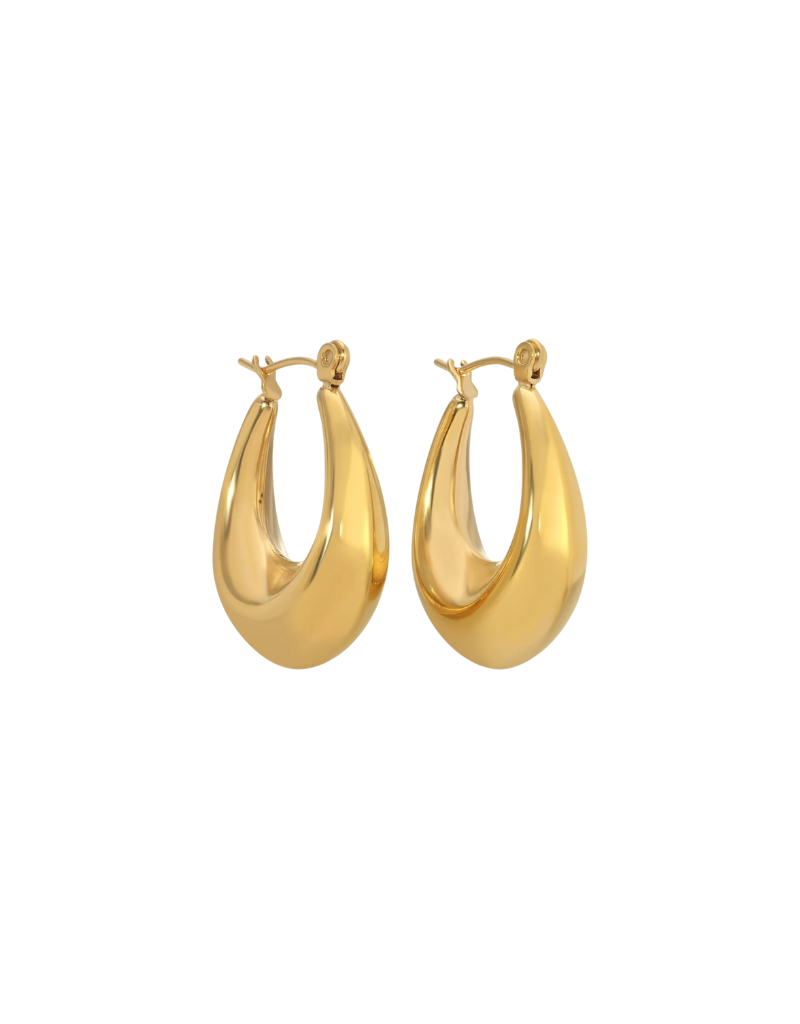 Splendid Iris Small Latchback Hoops Water Resistant