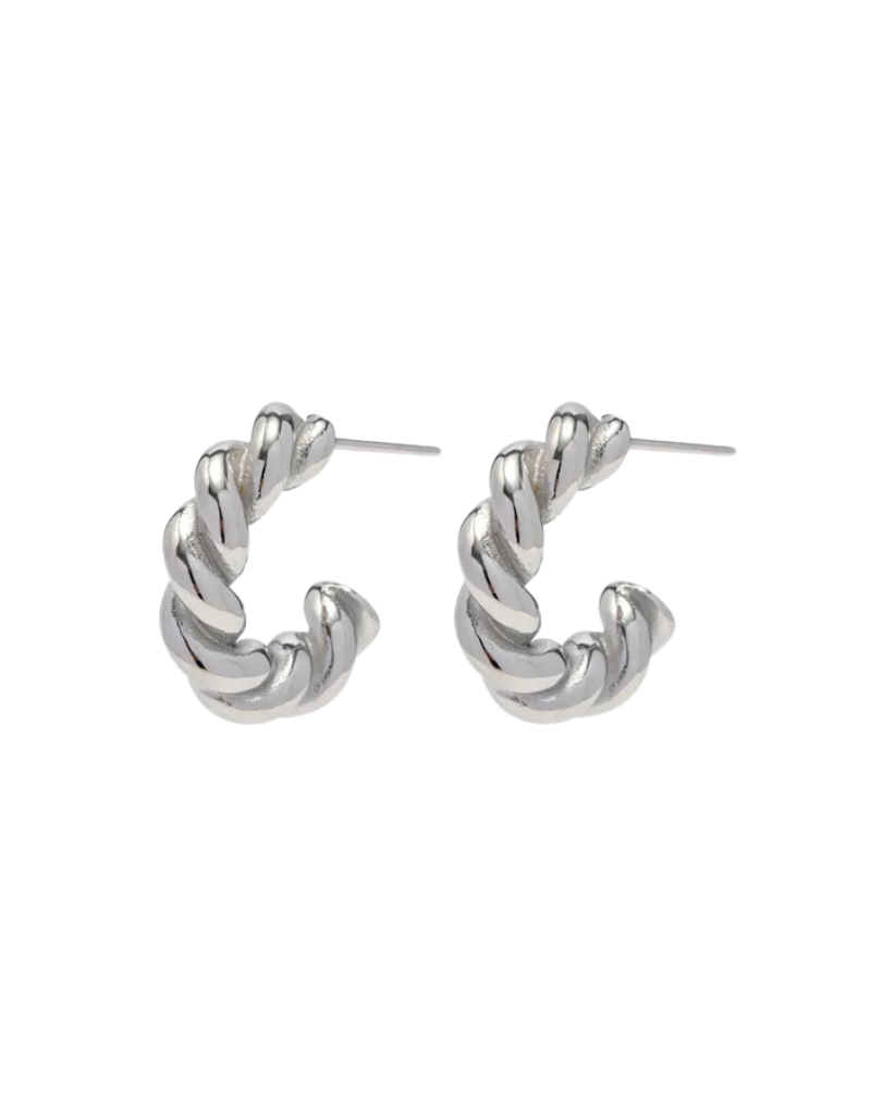 HJaneJewels Silver Twist Hoops