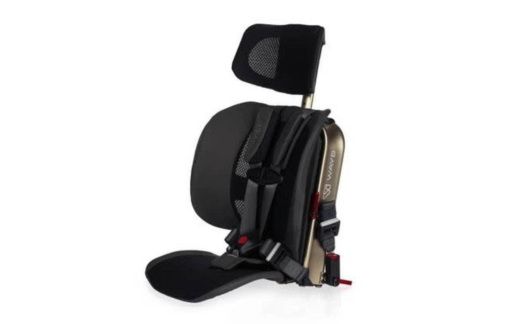 Way-B Pico Travel Car Seat In Earth