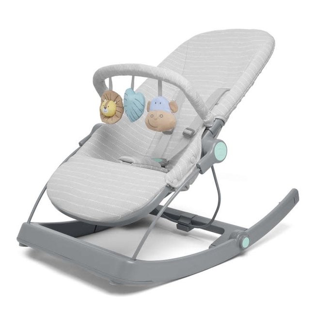 Aden + Anais 3-in-1 Transition Seat Bouncer + Rocker + Seat