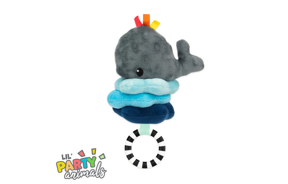 Sassy Wavy Whale Jitter