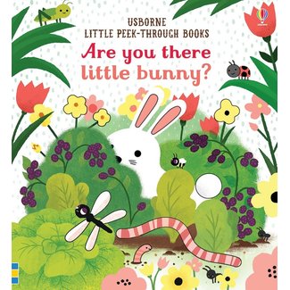 Usborne Are You There Little Bunny?