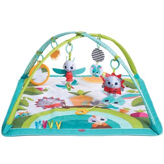 Tiny Love Tiny Love Developmental Gymini