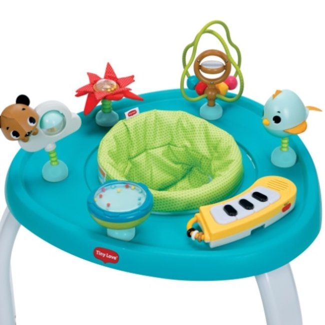 Tiny Love Stationary Activity Center