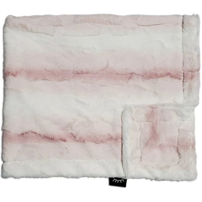 Winx + Blinx Minky Blanket