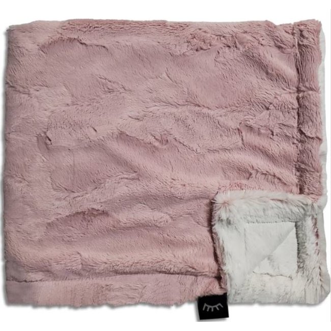 Winx + Blinx Minky Blanket