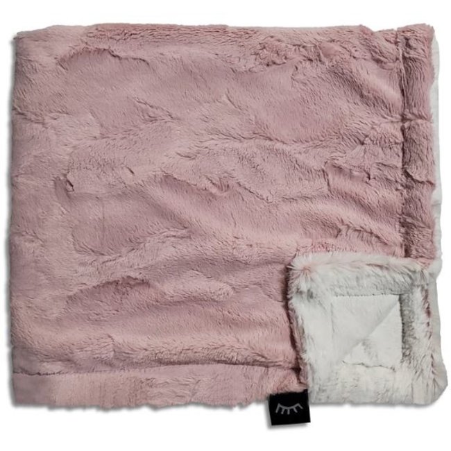 Winx + Blinx Minky Blanket