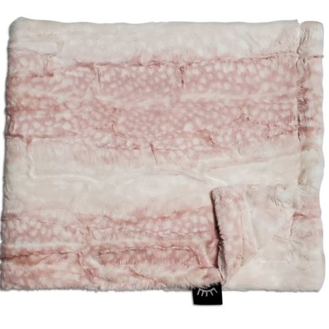 Winx + Blinx Minky Blanket