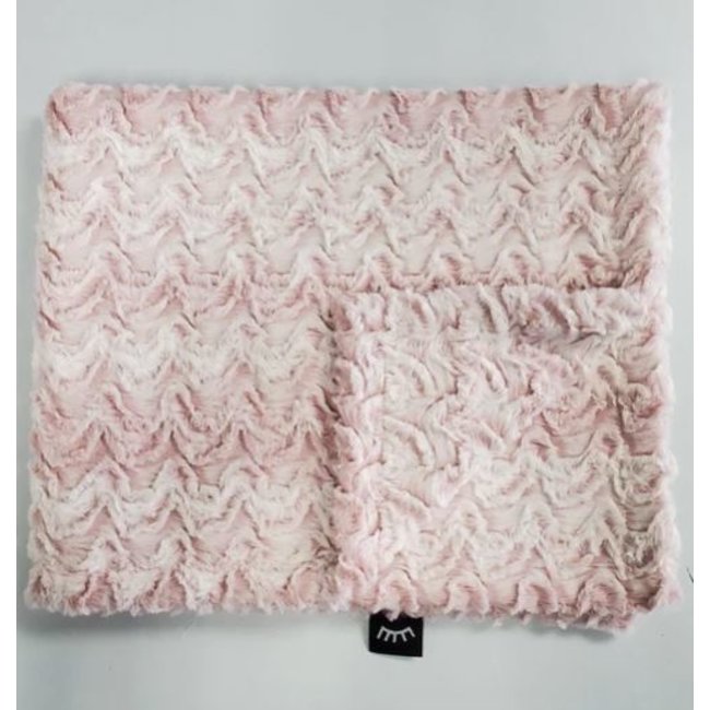 Winx + Blinx Minky Blanket