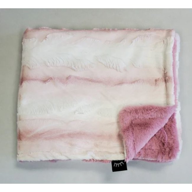 Winx + Blinx Minky Blanket