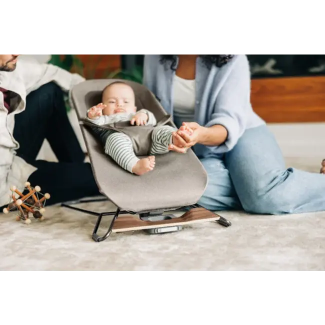 UPPAbaby Mira 2 In 1 Bouncer And Seat