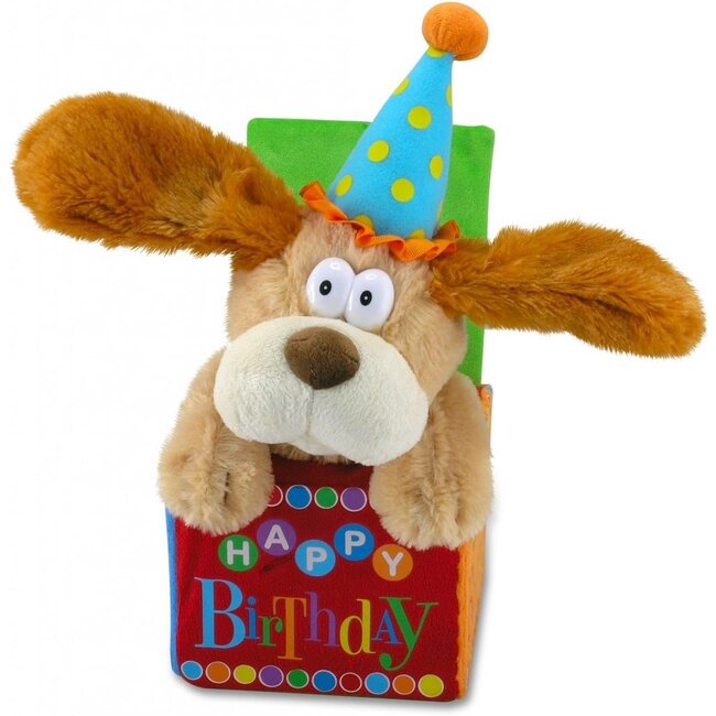 Cuddle Barn Flappy Birthday
