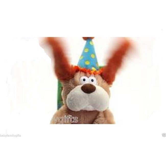 Cuddle Barn Flappy Birthday