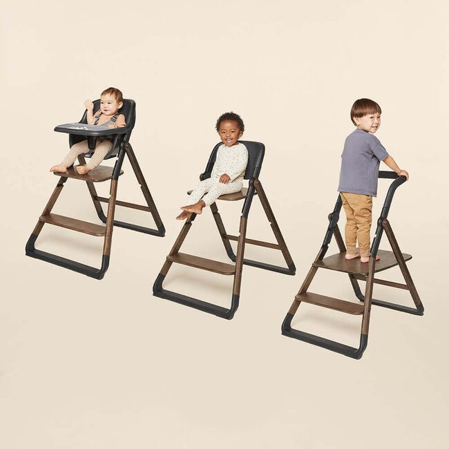 Ergobaby Evolve High Chair System