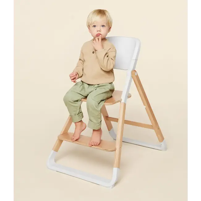 Ergobaby Evolve High Chair System