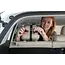 Dr. Talbots Backseat Mirror With Swivel Base